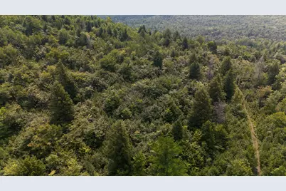 Lot7 Bear Brook Subdivision, Sebec, ME 04481 - Photo 5