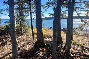 Map3Lot57 Little Doucet Island, Robbinston, ME 04671 - Photo 35