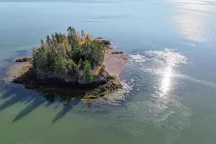 Map3Lot57 Little Doucet Island, Robbinston, ME 04671 - Photo 13