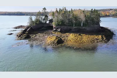Map3Lot57 Little Doucet Island, Robbinston, ME 04671 - Photo 27