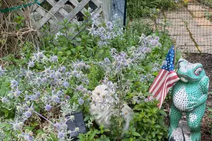 292 Main St, Southwest Harbor, ME 04679 - Photo 47