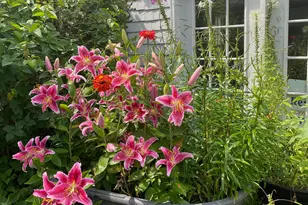 292 Main St, Southwest Harbor, ME 04679 - Photo 43