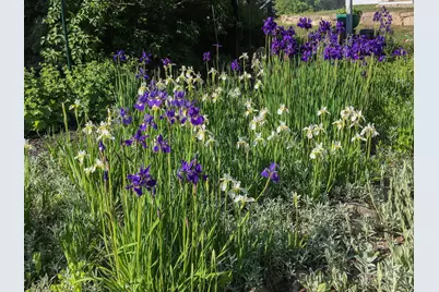 292 Main Street, Southwest Harbor, ME 04679 - Photo 45