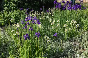 292 Main St, Southwest Harbor, ME 04679 - Photo 45