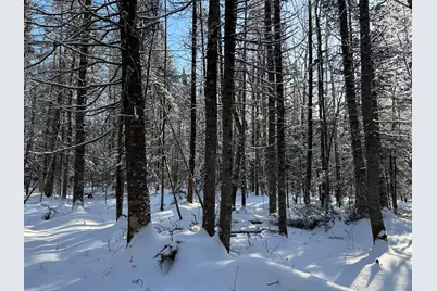 Lot A Holley Road, Farmington, ME 04938 - Photo 13