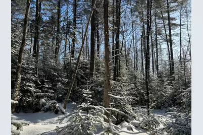 Lot A Holley Road, Farmington, ME 04938 - Photo 9