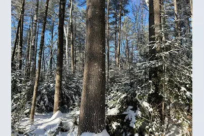 Lot A Holley Road, Farmington, ME 04938 - Photo 7