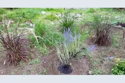 9 Woodcock Road, Gray, ME 04039 - Photo 39