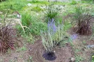 9 Woodcock Rd, Gray, ME 04039 - Photo 39