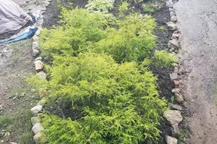 32 Houghton St, Auburn, ME 04210 - Photo 39