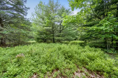 00 Front Ridge Road, Orland, ME 04472 - Photo 17