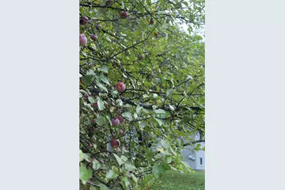 406 Pinnacle Road, Canaan, ME 04924 - Photo 33