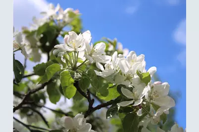 406 Pinnacle Road, Canaan, ME 04924 - Photo 37