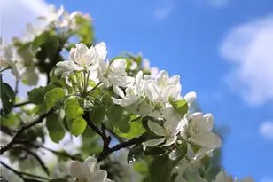 406 Pinnacle Rd, Canaan, ME 04924 - Photo 37