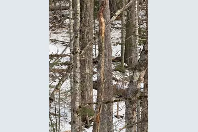 1088 Center Drive, Orrington, ME 04474 - Photo 7