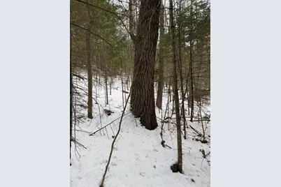 1088 Center Drive, Orrington, ME 04474 - Photo 3