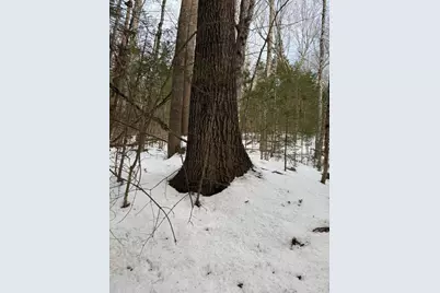 Map4Lot11 East Bucksport Road, Orrington, ME 04474 - Photo 5