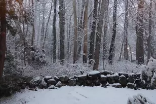 3 Kerry Gardens, Belfast, ME 04915 - Photo 15