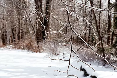 3 Kerry Gardens #25, Belfast, ME 04915 - Photo 19