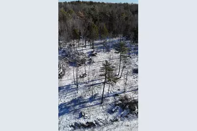 Map17Lot53 Grant Road, Orono, ME 04473 - Photo 7