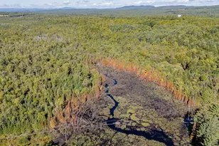 1153 Dexter Rd, Dover Foxcroft, ME 04426 - Photo 59