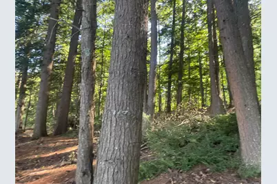 0 Route9-126 Road, Litchfield, ME 04350 - Photo 85