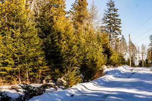 Lot 10 4R2 Pine Cone Ln, Surry, ME 04684 - Photo 1