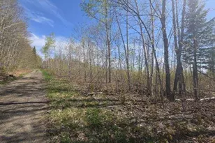 Map4Lot4B Off Conroy Rd, Perham, ME 04766 - Photo 1