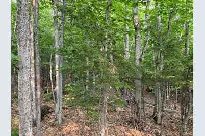 Lot 15-3B Sweden Road, Bridgton, ME 04009 - Photo 9