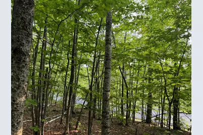 Lot 15-3B Sweden Road, Bridgton, ME 04009 - Photo 7