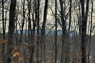 Lot 15-3B Sweden Rd, Bridgton, ME 04009 - Photo 1