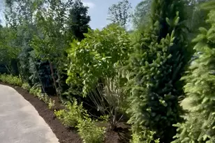 1 Vanessa Ln, Saco, ME 04072 - Photo 57