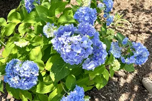 1 Vanessa Ln, Saco, ME 04072 - Photo 55