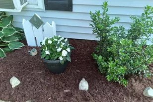 19 Pendleton Rd, Searsport, ME 04974 - Photo 33