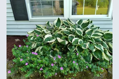 19 Pendleton Road, Searsport, ME 04974 - Photo 37