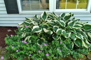 19 Pendleton Rd, Searsport, ME 04974 - Photo 37