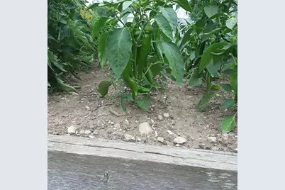 159 Moose Hill Road, Fayette, ME 04349 - Photo 71