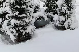 159 Moose Hill Rd, Fayette, ME 04349 - Photo 51