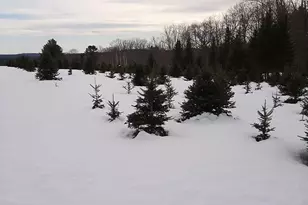 159 Moose Hill Rd, Fayette, ME 04349 - Photo 65