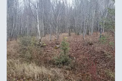 Lot 4 West Of May Mountain Road, Island Falls, ME 04747 - Photo 9