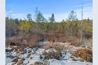 Lot# 0 Alewive Road, Lyman, ME 04002 - Photo 3
