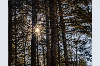 10-4M Forest Hill, Surry, ME 04684 - Photo 5