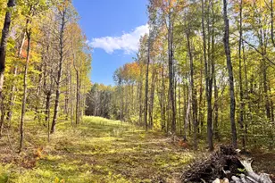 192 Mountain Rd, Raymond, ME 04071 - Photo 1