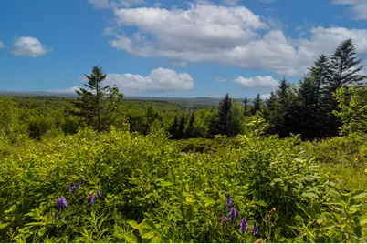 533 Mount Ephraim Map 4 Lot 63 Road, Searsport, ME 04974 - Photo 91