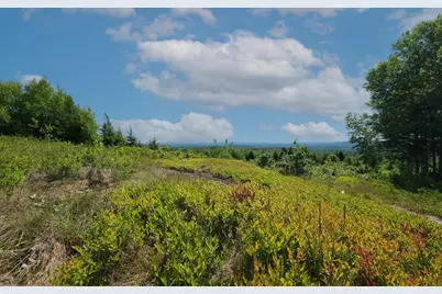 533 Mount Ephraim Map 4 Lot 63 Road, Searsport, ME 04974 - Photo 39