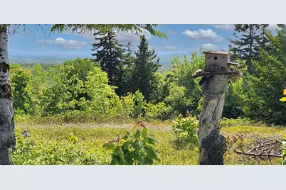 533 Mount Ephraim Map 4 Lot 63 Road, Searsport, ME 04974 - Photo 61