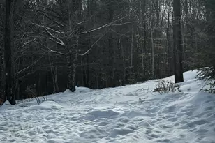 401 Burnham Rd, Bridgton, ME 04009 - Photo 9