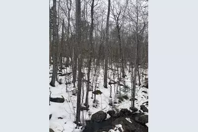 Map 109 Lot 16 Winkumpaugh Road, Ellsworth, ME 04605 - Photo 3