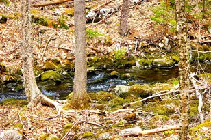 10 Goose River Estates, Swanville, ME 04915 - Photo 23