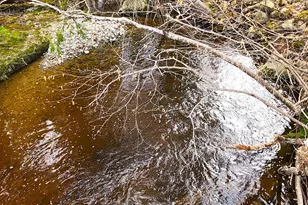 10 Goose River Estates, Swanville, ME 04915 - Photo 25